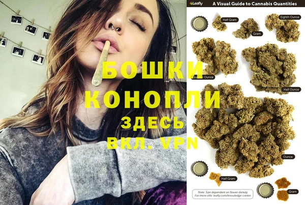 прущие грибы Алексеевка