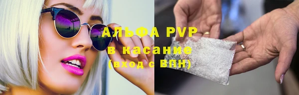 прущие грибы Алексеевка