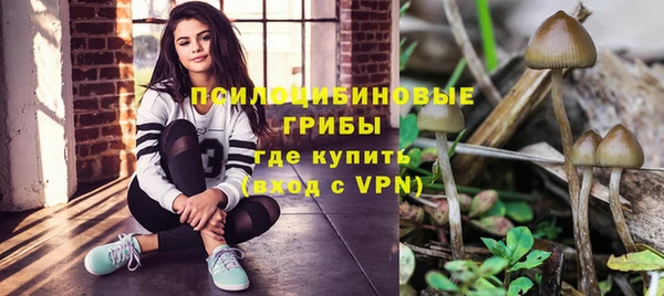 прущие грибы Алексеевка