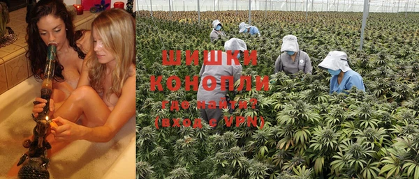 spice Алзамай